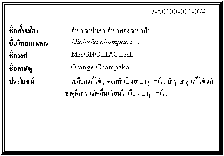 กล่องข้อความ: 7-50100-001-074 ชื่อพื้นเมือง : จำปา จำปาเขา จำปาทอง จำปาป่า ชื่อวิทยาศาสตร์ : Michelia chumpaca L. ชื่อวงศ์ : MAGNOLIACEAE ชื่อสามัญ : Orange Champaka ประโยชน์ : เปลือกแก้ไข้ , ดอกทำเป็นยาบำรุงหัวใจ บำรุงธาตุ แก้ไข้ แก้ธาตุพิการ แก้คลื่นเหียนวิงเวียน บำรุงหัวใจ